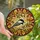 Nature Lovers' Black-capped Chickadee Stained Glass Mosaic, Tiffany Jewel Tones, Warm Amber Forest Canopy Blue Sky Stained Glass Suncatcher - dVfy2AWkM1
