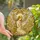 Art Lovers' Ethereal Tiffany Stained Glass Angelic Portrait Golden Amber Crimson Jewel Tones Stained Glass Suncatcher - 6-XW703e4E