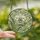 Nature Lovers' Tiffany Style White Orchid Stained Glass, Iridescent Jewel Tones & Abstract Swirls Stained Glass Suncatcher - 86bNcodb-_