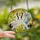 Art Lovers' Tiffany Style Stained Glass Red-Crowned Cranes Crimson Accents Yellow Green Foliage Mosaic Stained Glass Suncatcher - 2