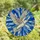 Art & Nature Lovers' Graceful White Dove Flight Tiffany Style Iridescent Stained Glass Mosaic Stained Glass Suncatcher - 4