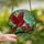 Bird Enthusiasts' Ruby Red Cardinal Feeding Baby Tiffany Stained Glass Jewel Tone Foliage Mosaic Stained Glass Suncatcher - YkJPMQOE89