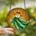 Halloween Lovers' Whimsical Friendly Ghost Witch Hat Tiffany Stained Glass Mosaic Orange Yellow Green Red Stained Glass Suncatcher - 2