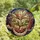 Art Lovers' Intricate Tiffany Stained Glass Magnolia Moon Celestial Mosaic Amber Peach Stained Glass Suncatcher - BXXK2TRxVA