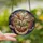 Art Lovers' Intricate Tiffany Stained Glass Magnolia Moon Celestial Mosaic Amber Peach Stained Glass Suncatcher - ToknTpIiSM