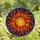 Art Lovers' Intricate Stained Glass Radiant Sun Fiery Swirling Cosmic Mosaic Jewel Tones Stained Glass Suncatcher - 4