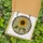Nature Lovers' Vibrant Stained Glass Sunflower Mosaic Golden Yellow Deep Green Jewel Tone Art Stained Glass Suncatcher - 5