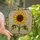 Nature Lovers' Vibrant Stained Glass Sunflower Mosaic Golden Yellow Deep Green Jewel Tone Art Stained Glass Suncatcher - 1