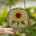 Nature Lovers' Vibrant Stained Glass Sunflower Mosaic Golden Yellow Deep Green Jewel Tone Art Stained Glass Suncatcher - 2