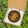 Nature Lovers' Radiant Stained Glass Orange Slices Pinecones Cinnamon Jewel Tones Stained Glass Suncatcher - 5