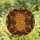 Nature Lovers' Radiant Stained Glass Orange Slices Pinecones Cinnamon Jewel Tones Stained Glass Suncatcher - 4