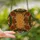 Nature Lovers' Radiant Stained Glass Orange Slices Pinecones Cinnamon Jewel Tones Stained Glass Suncatcher - 2