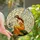 Stained Glass Art Lovers' Ethereal Fairy Tiffany Style Golden-Orange Emerald Green Rose Pink Mosaic Stained Glass Suncatcher - 1