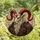 Gothic Art Admirers' Majestic Stained Glass Anthropomorphic Goat Red Horns Amber White Black Mosaic Stained Glass Suncatcher - JMpSxvpkuI