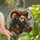 Fantasy Art Enthusiasts' Detailed Tiffany Stained Glass Satyr Bust Orange Horns Glowing Yellow Eyes Red Gold Armor Mosaic Stained Glass Suncatcher - 1