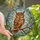 Nature Lovers' Vibrant Stained Glass Owl Tiffany Style Jewel Tone Forest Mosaic Stained Glass Suncatcher - lm5qjyF9Ad