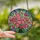 Garden Enthusiasts' Luminous Tiffany Style Pink Camellia Floral Jewel Tone Mosaic Art Stained Glass Suncatcher - 2