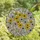 Art Lovers' Intricate Tiffany Style Stained Glass Yellow Purple Daisy Floral Mosaic Stained Glass Suncatcher - GuuG0tn8SJ