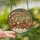 Holiday Enthusiasts Jewel-Toned Tiffany Stained Glass Gingerbread Family Festive Winter Mosaic Stained Glass Suncatcher - 2