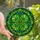 Stained Glass Art Fans' Vibrant Tiffany Style Four-Leaf Clover Emerald Lime Teal Green Mosaic Stained Glass Suncatcher - 1