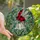Nature Lovers' Vibrant Stained Glass Ladybug White Bell Flower Emerald Green Leaves Tiffany Style Mosaic Pattern Stained Glass Suncatcher - 1