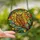Nature Lovers' Tiffany Style Stained Glass Wise Owl Autumn Leaves Golden Amber Sky Blue Emerald Jewel Tones Stained Glass Suncatcher - 2
