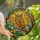 Nature Lovers' Tiffany Style Stained Glass Wise Owl Autumn Leaves Golden Amber Sky Blue Emerald Jewel Tones Stained Glass Suncatcher - 1