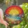 Nature Lovers' Glowing Stained Glass Coastal Sunrise Beach Wildflowers Ocean Mosaic Pattern Stained Glass Suncatcher - 1