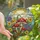 Nature Lovers' Tiffany Stained Glass Mushroom Wildflower Sun Mosaic Red Green Purple Stained Glass Suncatcher - cu7CNSDKa5