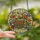 Book Lovers' Tiffany Stained Glass Vintage Books Floral Geometric Mosaic Jewel Tones Stained Glass Suncatcher - 9OeM4CkwRt