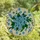 Nature Lovers' Tiffany Style Stained Glass Blue Floral Emerald Leaf Mosaic Pattern Stained Glass Suncatcher - 4