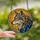 Nature Lovers' Tiffany Style Stained Glass Wolf Head Golden Orange Blue Cosmic Art Stained Glass Suncatcher - 3