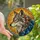 Nature Lovers' Tiffany Style Stained Glass Wolf Head Golden Orange Blue Cosmic Art Stained Glass Suncatcher - 2