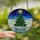 Holiday Lovers' Vibrant Tiffany Stained Glass Emerald Green Christmas Tree Multi-Color Lights Deep Blue Sky Stained Glass Suncatcher - j_k63AkVBd
