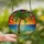 Tropical Art Lovers' Emerald Cerulean Stained Glass Palm Tree Mosaic Beach Sunset Stained Glass Suncatcher - 3