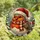 Holiday Enthusiasts' Cute Stained Glass Robin Red Amber Winter Evergreen Mosaic Stained Glass Suncatcher - KTnGzyVZMt
