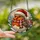 Holiday Enthusiasts' Cute Stained Glass Robin Red Amber Winter Evergreen Mosaic Stained Glass Suncatcher - SbHzXPMxLl