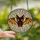 Fantasy Art Lovers' Cute Bat Translucent Stained Glass Tiffany Style Orange Yellow Mosaic Stained Glass Suncatcher - 2