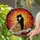 Wedding Celebration Tiffany Stained Glass Bridal Couple Embrace Fiery Orange Red Mosaic Stained Glass Suncatcher - 2