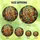 Nature Lovers' Intricate Stained Glass Tawny Owl Autumn Foliage Mosaic Jewel Tones Golden Emerald Burgundy Stained Glass Suncatcher - pGaZzkxZpc