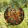 Nature Lovers' Intricate Stained Glass Tawny Owl Autumn Foliage Mosaic Jewel Tones Golden Emerald Burgundy Stained Glass Suncatcher - uCP6-tBHJZ