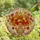 Nature Lovers' Glowing Stained Glass Autumn Maple Leaves Amber Floral Vase Mosaic Stained Glass Suncatcher - RBYKPaRi8v