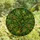 Art Lovers' Vibrant Stained Glass Olive Branch Emerald Gold Intricate Mosaic Pattern Stained Glass Suncatcher - 4