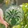 Nature Enthusiasts' Vibrant Tiffany Stained Glass Lily of the Valley Bouquet Emerald Green Jewel Tone Stained Glass Suncatcher - 1
