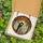 Couples' Stained Glass Bridal Embrace Autumn Forest Canopy Jewel Tones Warm Glow Mosaic Stained Glass Suncatcher - 5