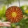 Art Lovers' Tiffany Stained Glass Serene Sun Face Radiant Golden Orange Celestial Mosaic Stained Glass Suncatcher - 2