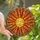 Art Lovers' Tiffany Stained Glass Serene Sun Face Radiant Golden Orange Celestial Mosaic Stained Glass Suncatcher - 1
