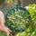 Nature Lovers' Tiffany Style Stained Glass Ginkgo Leaves Dappled Forest Mosaic Vibrant Green Yellow Stained Glass Suncatcher - pQyNy3DqkQ