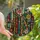 Book Lovers' Stained Glass Antique Books Botanical Rose Tiffany Style Mosaic Emerald Green Dusty Pink Amber Stained Glass Suncatcher - 1