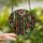 Book Lovers' Stained Glass Antique Books Botanical Rose Tiffany Style Mosaic Emerald Green Dusty Pink Amber Stained Glass Suncatcher - 2